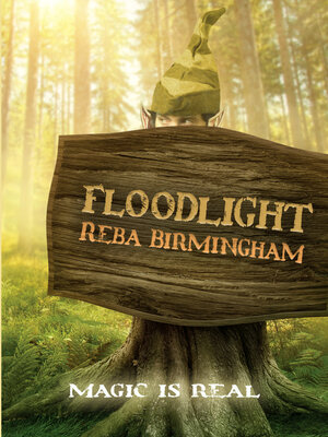 Floodlight - ebook